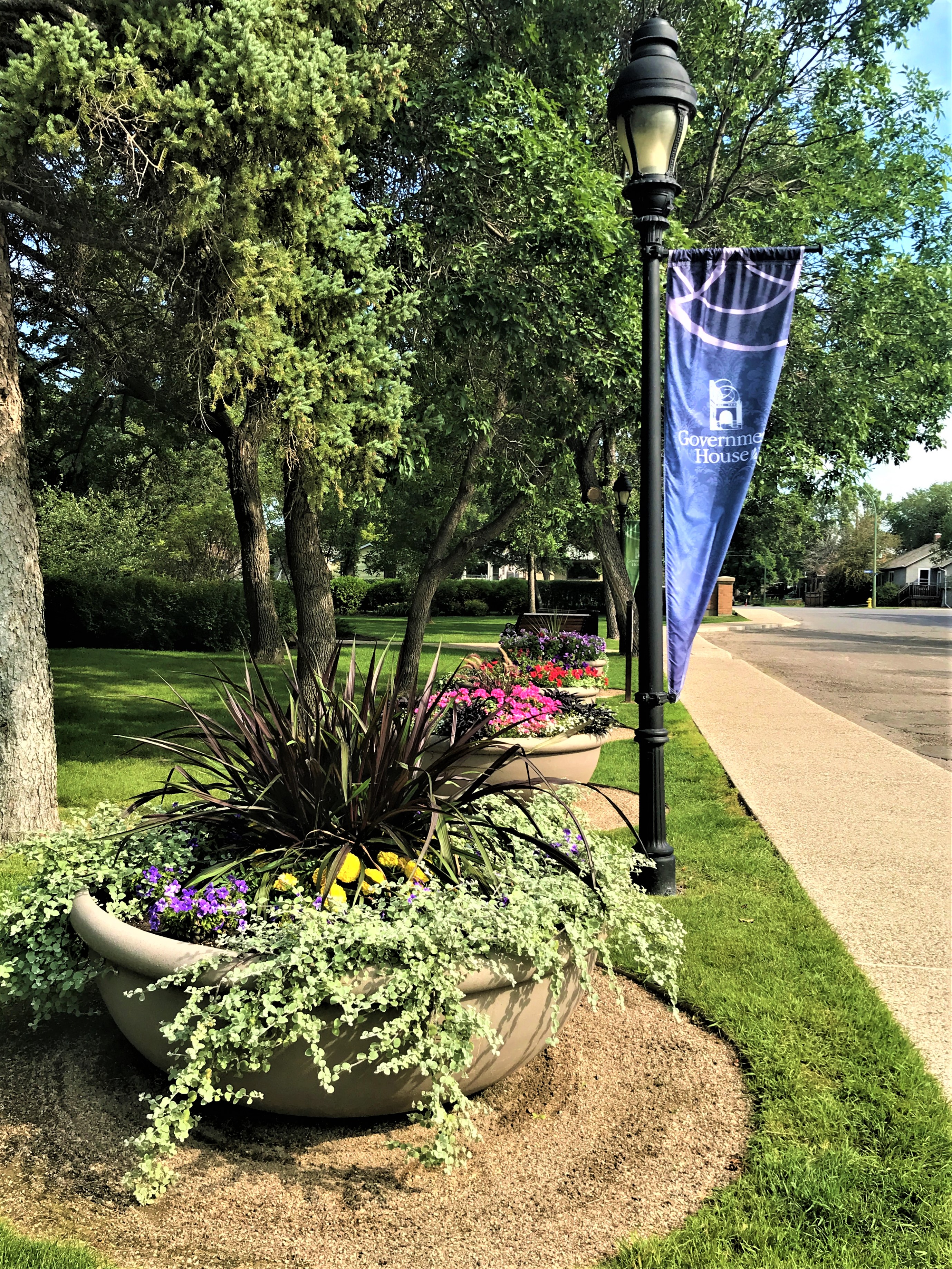 Planters at Government House SK